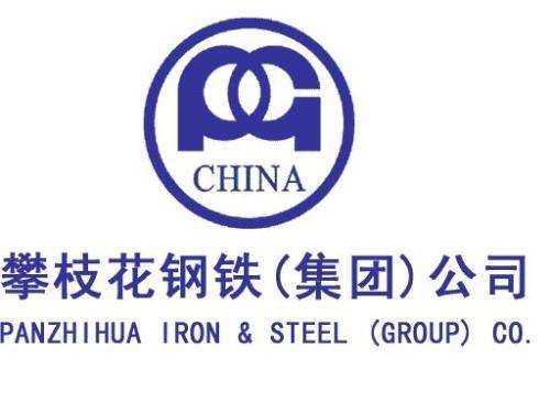 攀枝花鋼城集團(tuán)瑞豐水泥有限公司.jpg